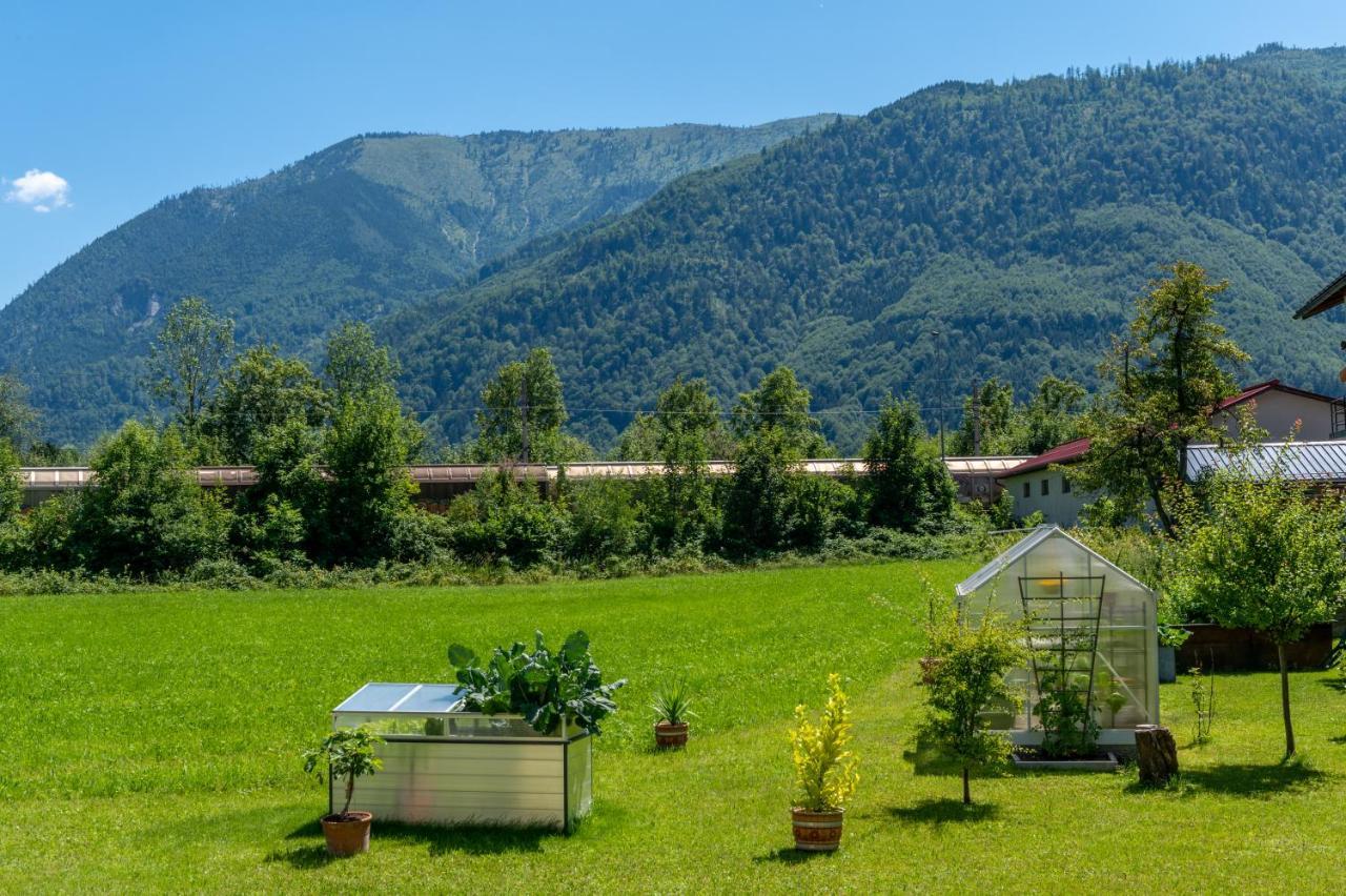 Fruehstueckspension Haus Ahamer Ebensee Exterior foto